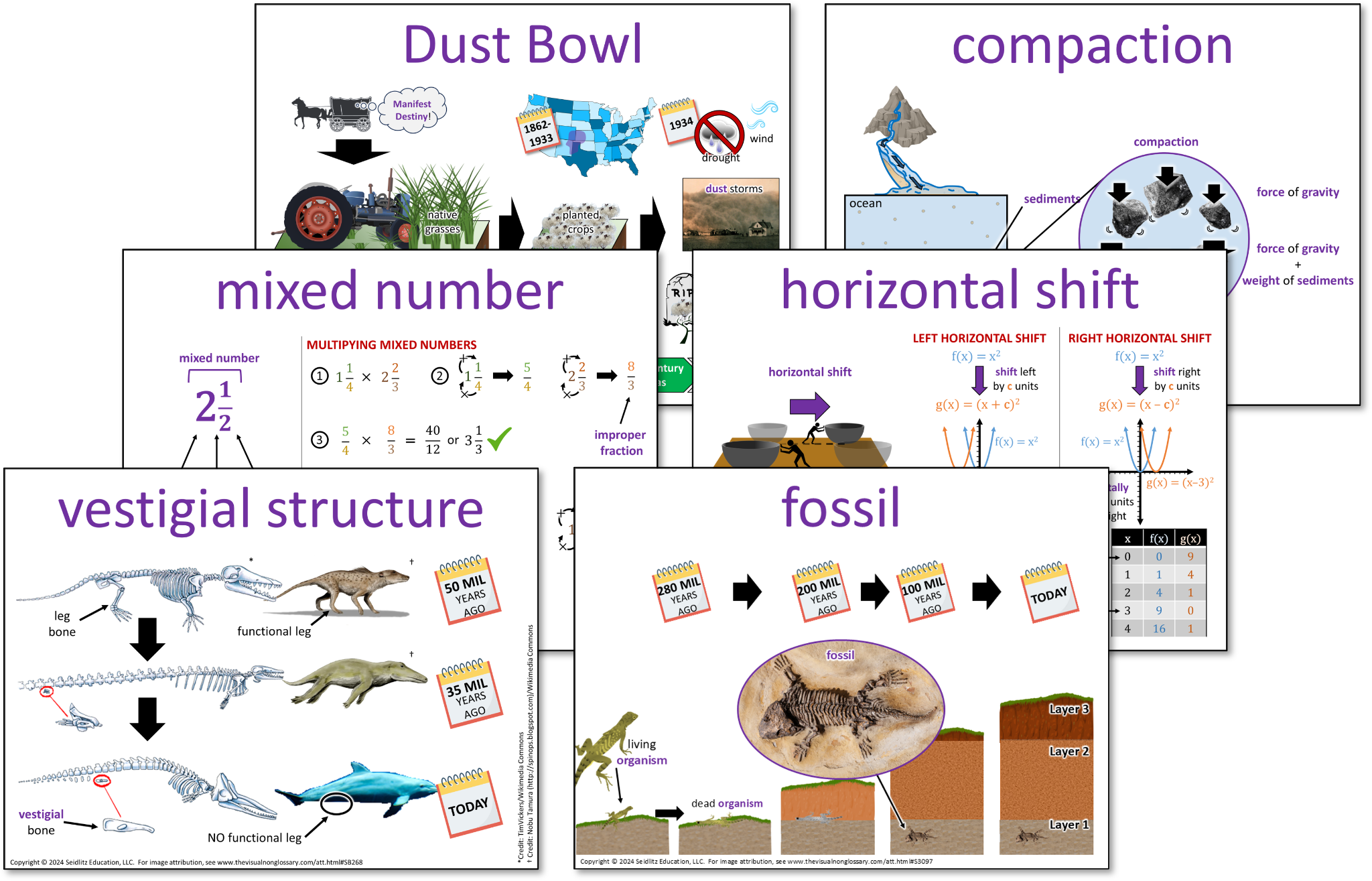 Examples of Visual Non-Glossary vocabulary visuals
