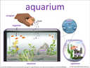 aquarium visual