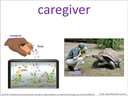 caregiver visual