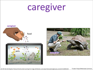caregiver visual