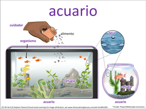 acuario visual