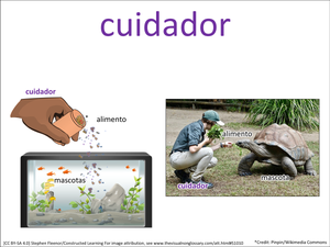 cuidador visual