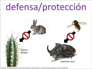 defensa/protección visual