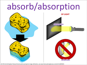 absorb/absorption visual