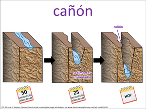 cañón visual