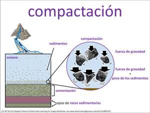 compactación visual