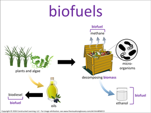biofuels visual