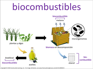 biocombustibles visual