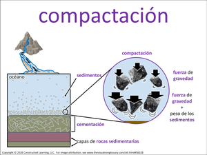 compactación visual
