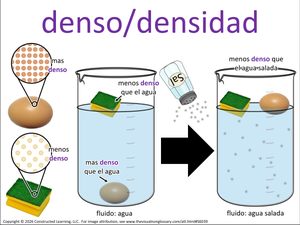 denso/densidad visual