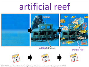 artificial reef visual