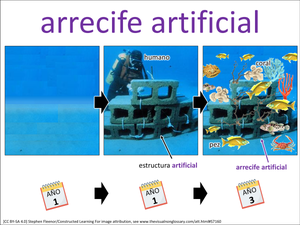 arrecife artificial visual