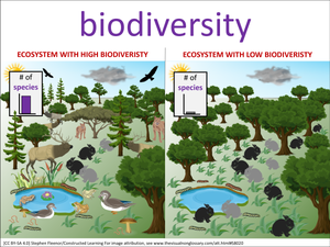 biodiversity visual