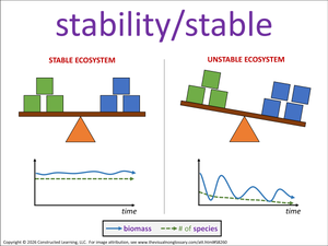 stability/stable visual