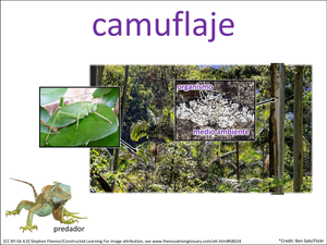 camuflaje visual