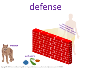 defense/protection visual