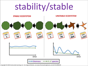 stability/stable visual