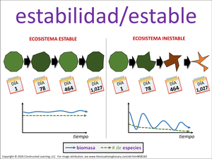 estabilidad/estable visual