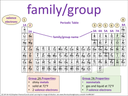 family/group (Periodic Table) visual