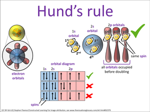 Hund’s rule visual