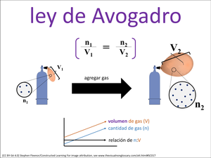 ley de Avogadro visual