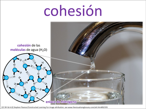 cohesión visual