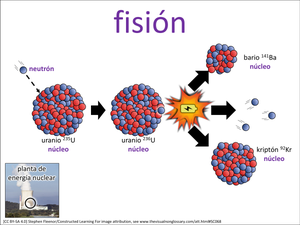 fisión visual