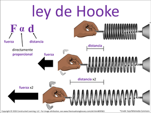ley de Hooke visual